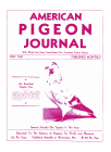 Magazine Cover